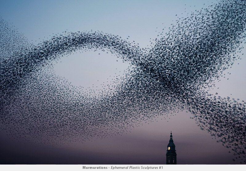 Illustration for article titled Photographer transforms plastic bags into beautiful bird flocks